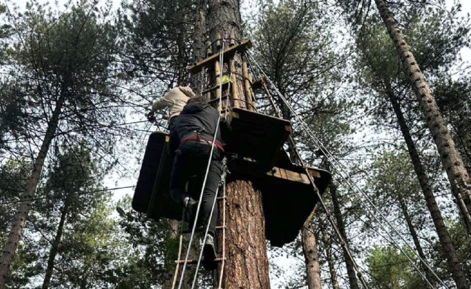 Latest News » Leicester Girls' Sixth Form Adventure at Go Ape